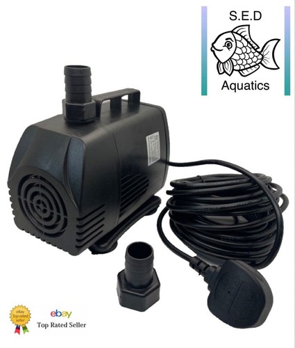 Large pond sump water - pond,